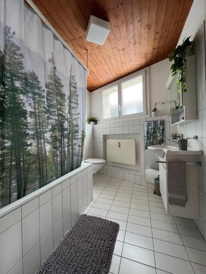Ferienwohnung Dorfzentrum Disentis Luaran gambar